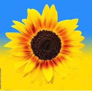 Meet your Posher, Debi